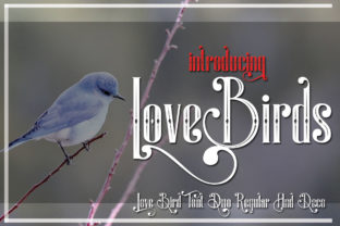 LoveBirds: A Romantic Display Font That Elevates Meaningful Design